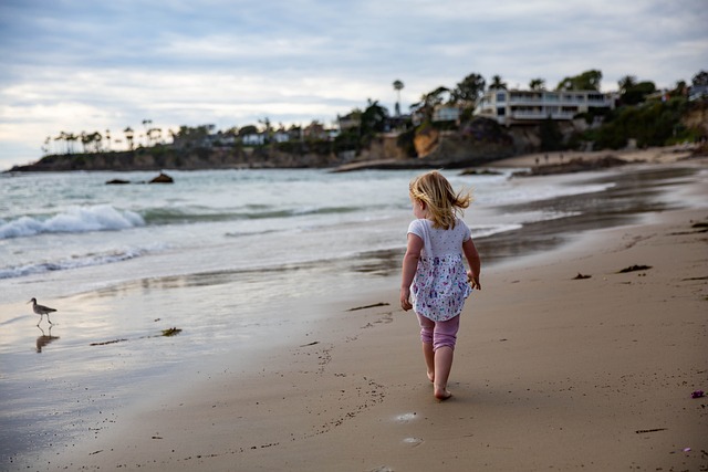 A little girl walking on the beach with a seagull