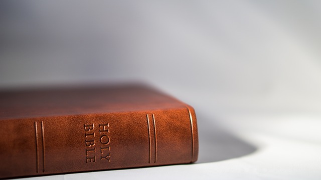 A brown leather bible on a white surface