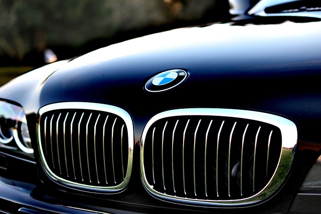 A close-up of a BMW car with the front grill and a License Plate Sticker